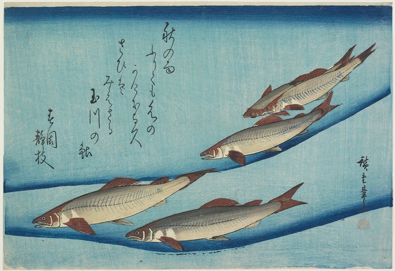 Trout, Utagawa Hiroshige, c. 1832–33