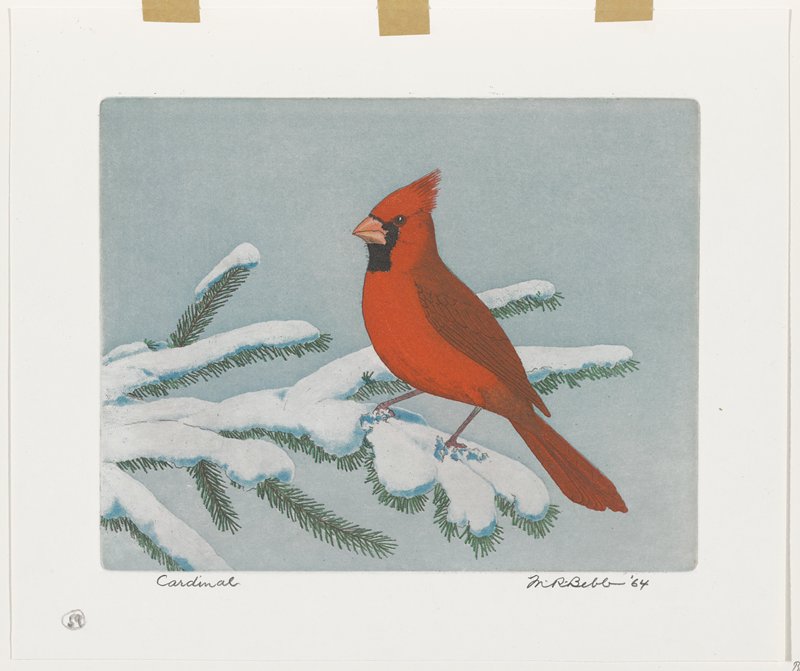 Cardinal, Maurice R. Bebb, 1964