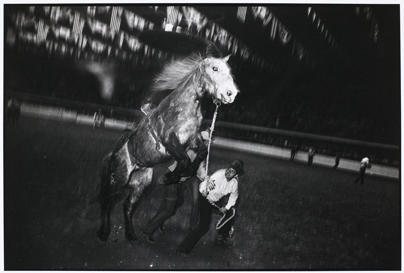 Fort Worth, Texas, Garry Winogrand, 1974