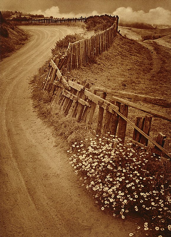 Daisy Trail, Adolf Fassbender, 1938