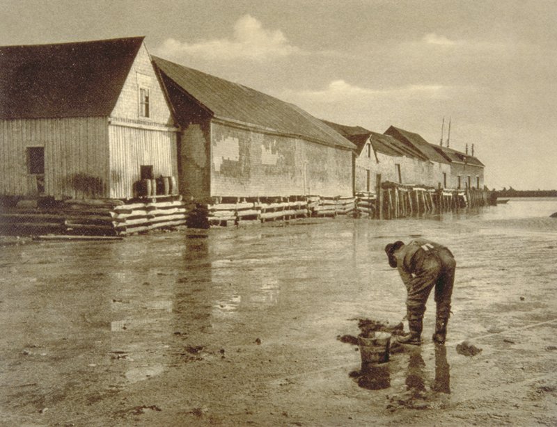 The Clam Digger, Adolf Fassbender, 20th century