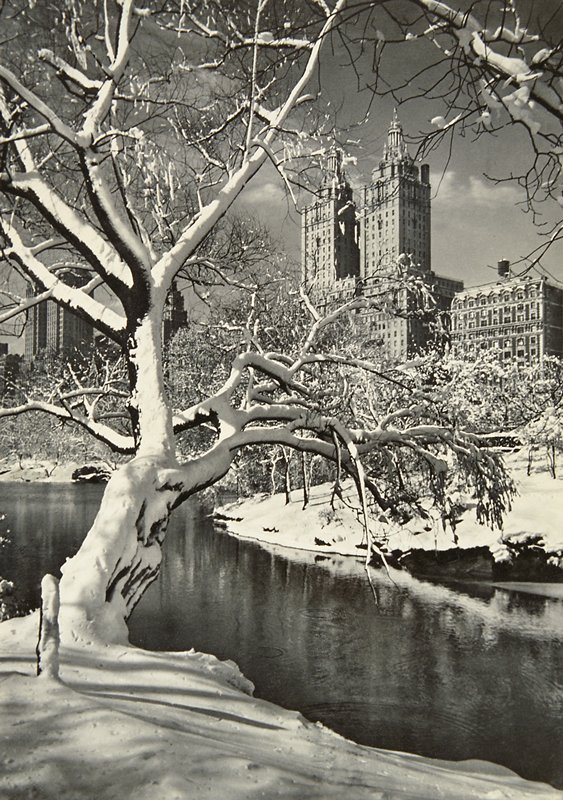 Caressing Snow, Adolf Fassbender, 1947