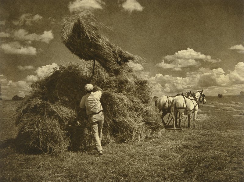 Haying in Colorado, Adolf Fassbender, c. 1943