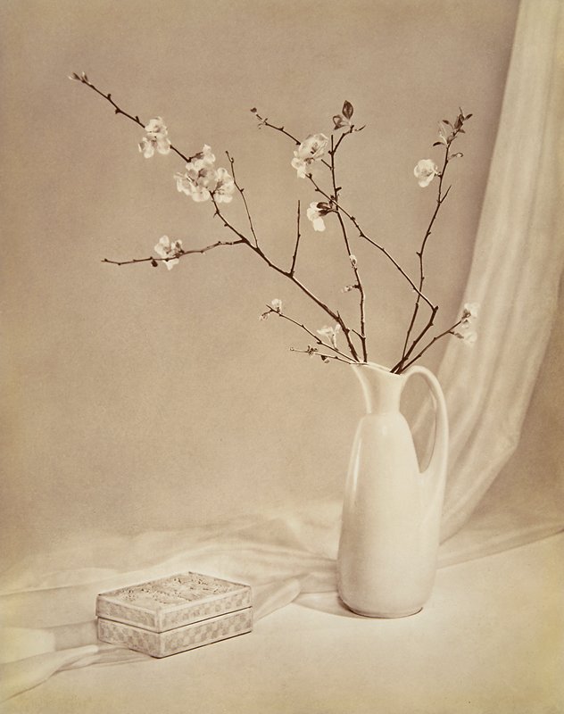 Flowering Quince, Adolf Fassbender, 20th century