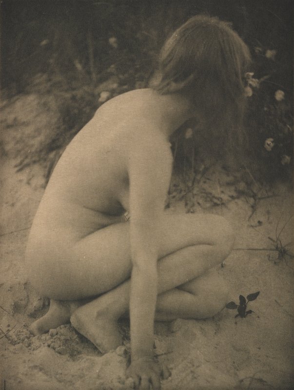 Sand and Wild Roses, Alice Boughton, April 1909