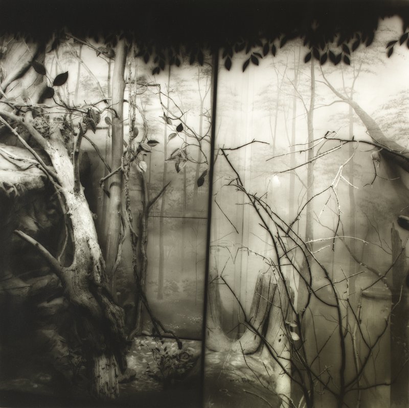 Minnesota Zoo, Lynn Geesaman, 1985