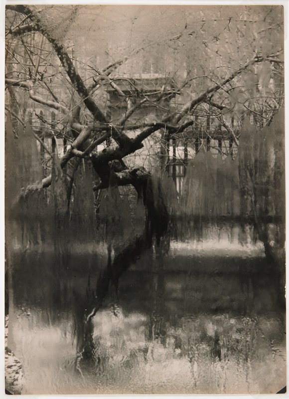 Untitled by Josef Sudek