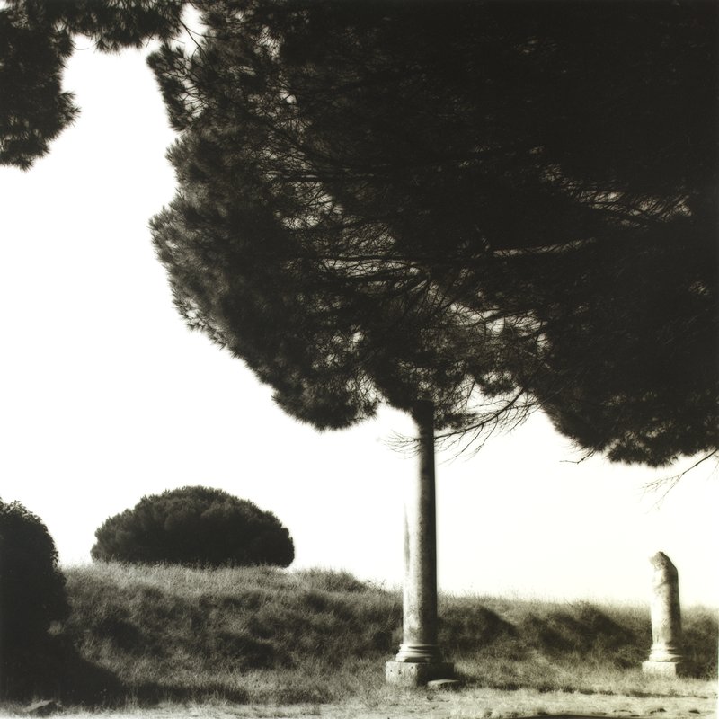 Columns and Trees, Ostia Antiqua, Italy, Lynn Geesaman, 1990
