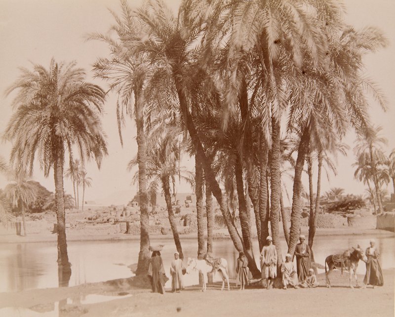 Untitled, Antonio Beato, 19th century