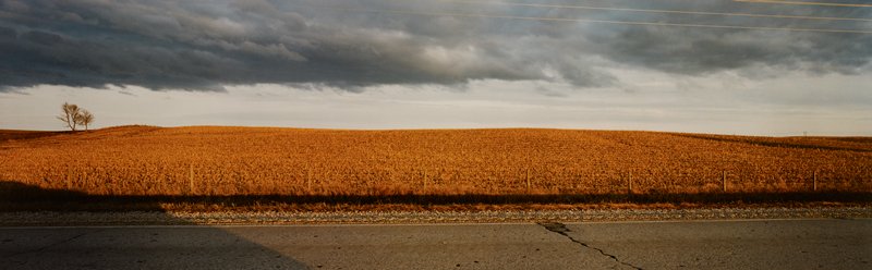 Fall Field, Webster County, Iowa, Stuart D. Klipper, 1982