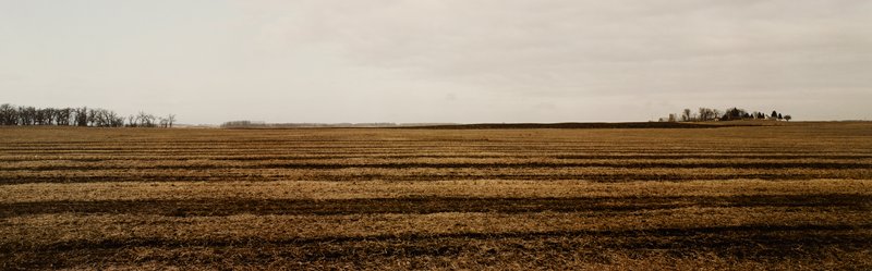 Fall Fields, Freeborn County, Minnesota, Stuart D. Klipper, 1982