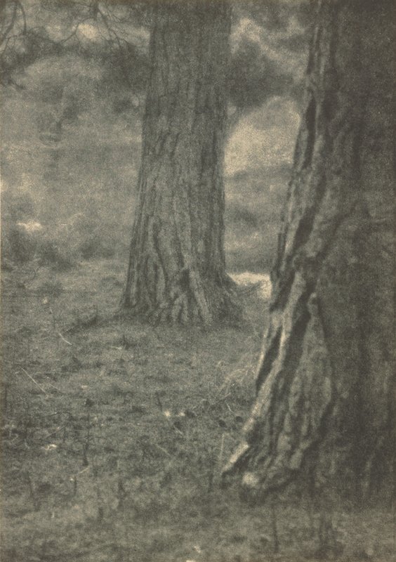Under the Pines, Will A. Cadby, April 1904