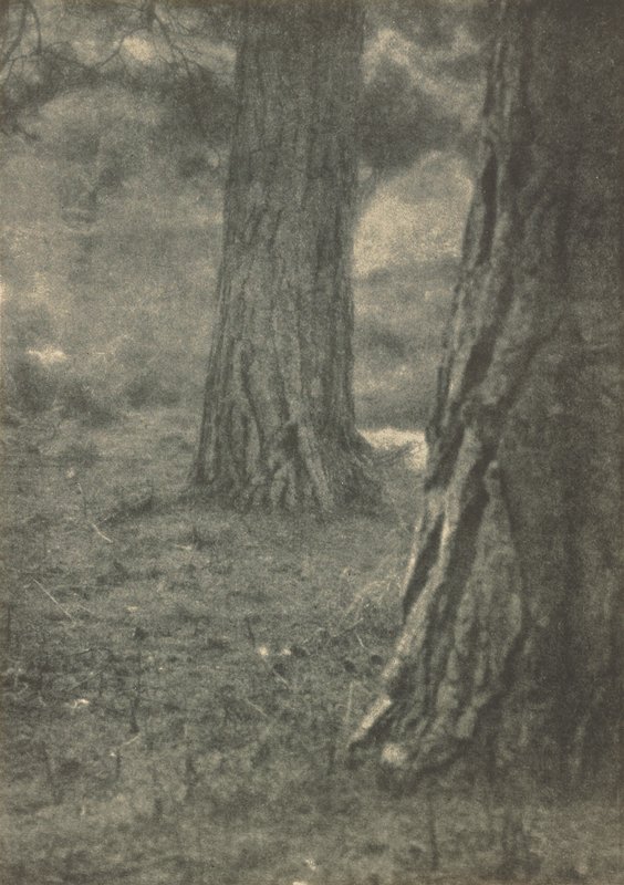 Under the Pines, Will A. Cadby, April 1904