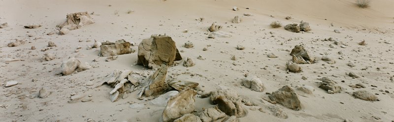 NaNegev, Israel, Stuart D. Klipper, 1985