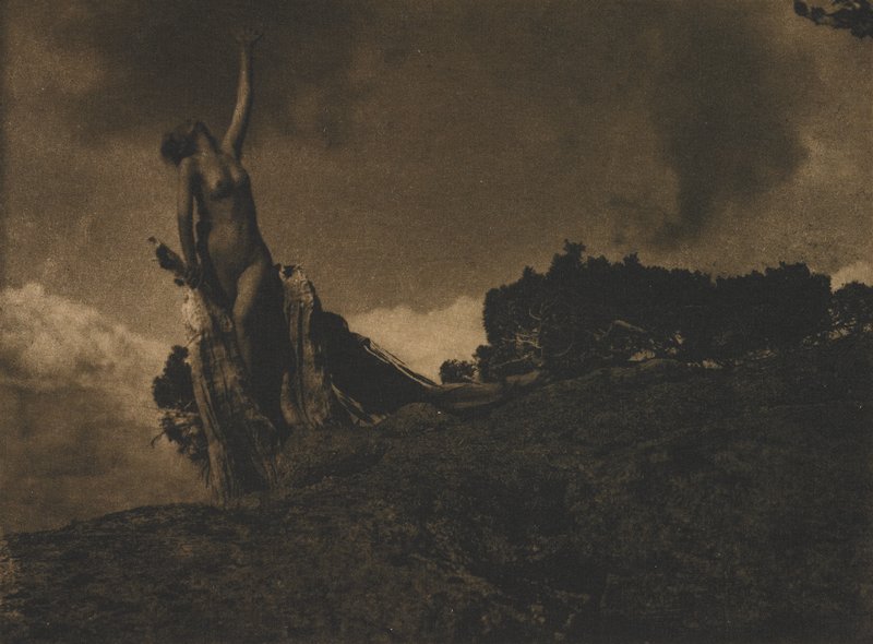 Soul of the Blasted Pine, Anne W. Brigman, January 1909