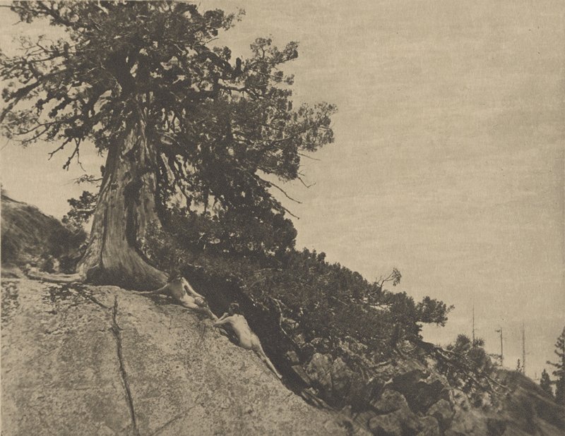 Dryads, Anne W. Brigman, October 1913