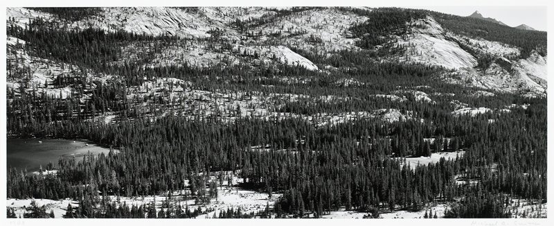 Yosemite, Thomas F. Arndt, 1988