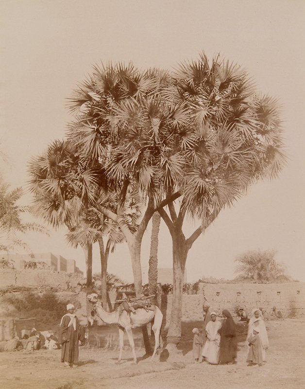 Untitled, Antonio Beato, 19th century