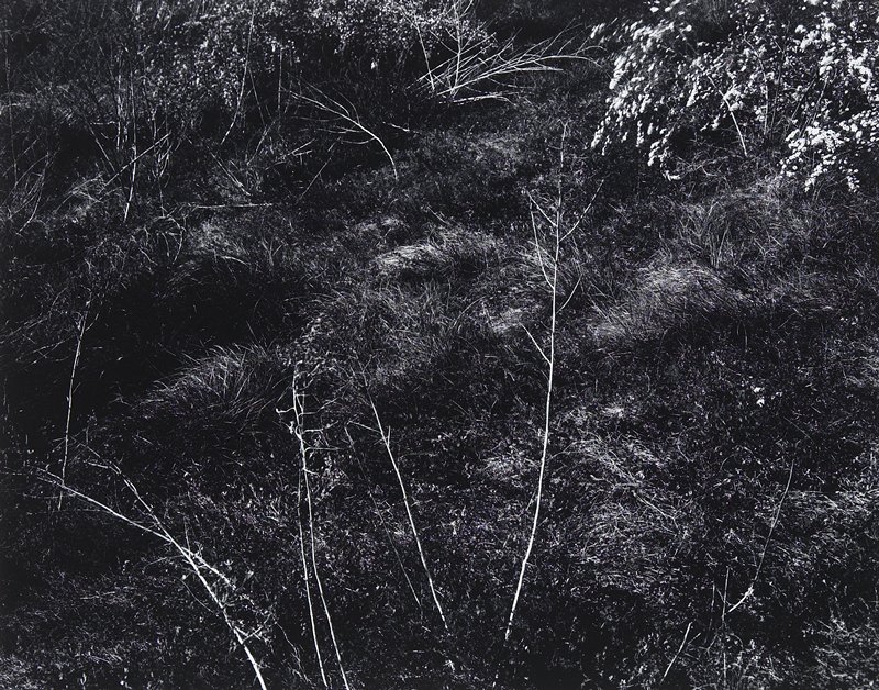 Untitled, John Bratnober, c. 1974
