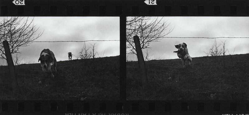 Toe and Jess, Karl Bremer, 1977
