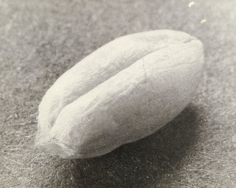 Untitled, attributed to James Hamilton Brown, 20th century
