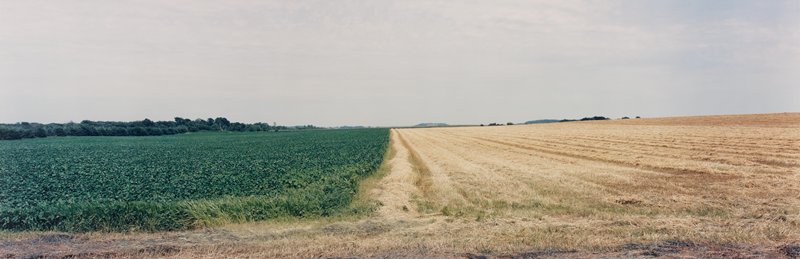 Two Fields, Dakota County, Summer, Stuart D. Klipper, 1984