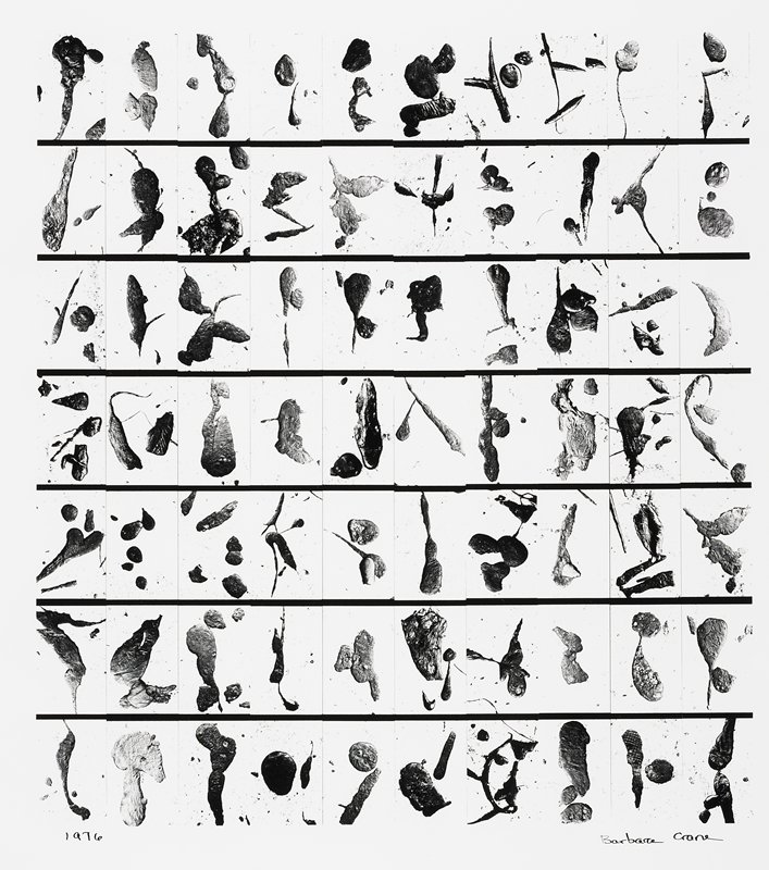 Tar Findings, Barbara Crane, 1976