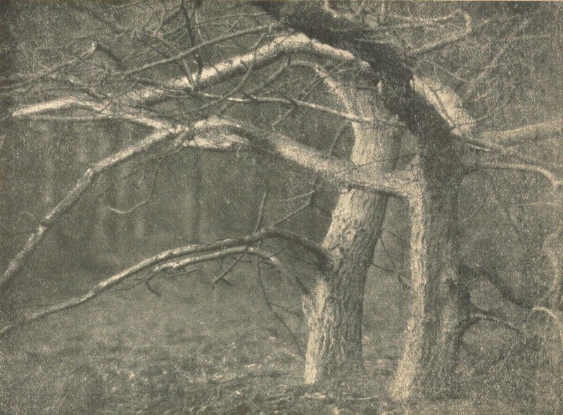 Storm Light, Will A. Cadby, April 1904