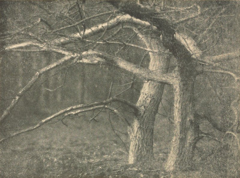 Storm Light, Will A. Cadby, April 1904