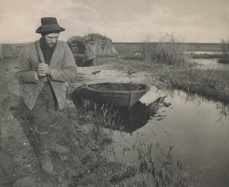 Towing the Reed, Peter Henry Emerson, 1886