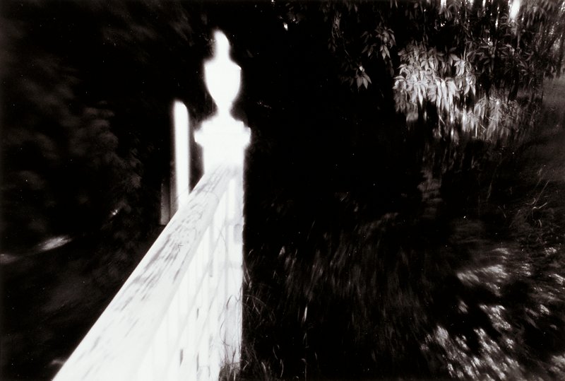 Untitled [white fence among foilage], Christopher Cardozo, c. 1971