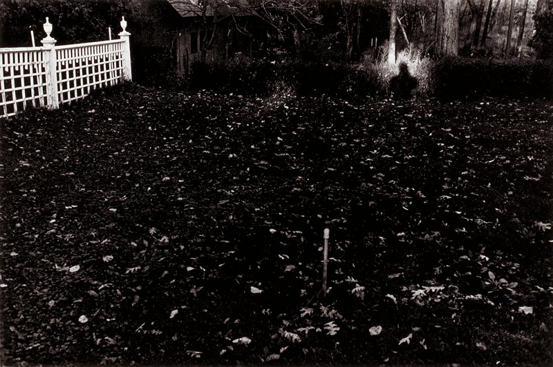 Untitled [shadow in yard], Christopher Cardozo, c. 1971