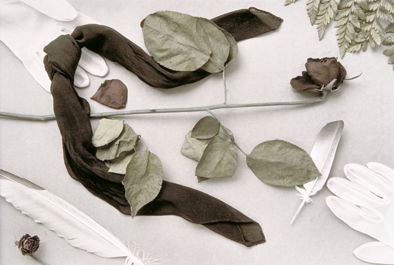 A Rose, Peter de Lory, 1979