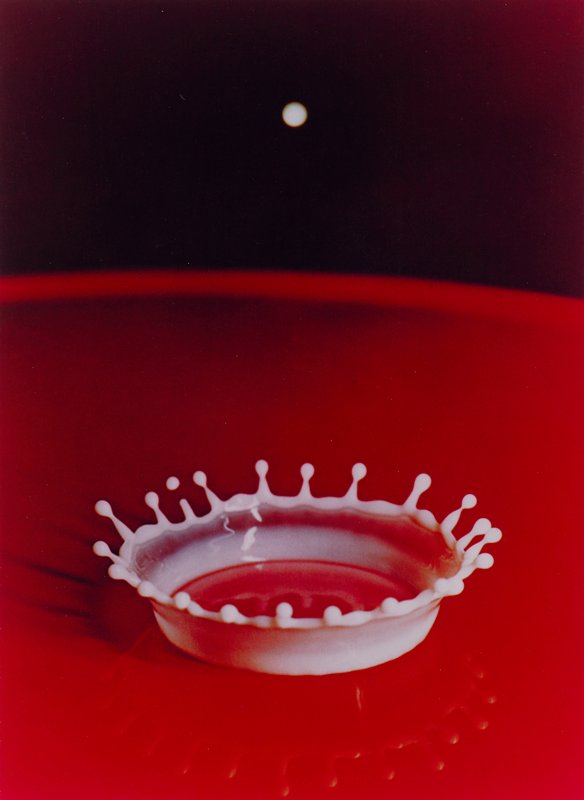 Milk Drop Coronet, Harold E. Edgerton, 1957