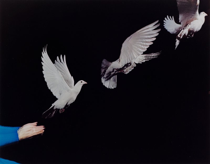 Pigeon Released, Harold E. Edgerton, 1965