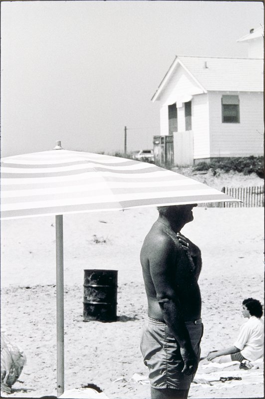Untitled, Elliott Erwitt, 1978