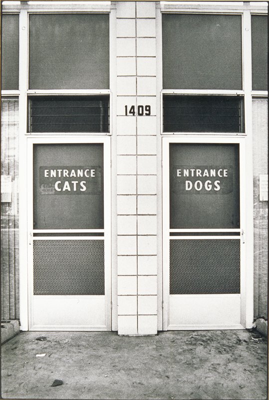 Cats and Dogs, Alameda, California, Elliott Erwitt, 1975