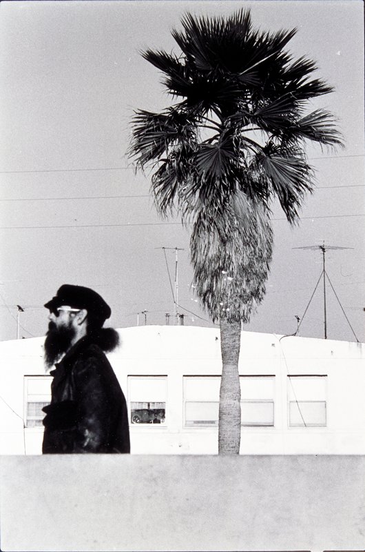 Bearded Man with Tree, Venice, California, Elliott Erwitt, 1976