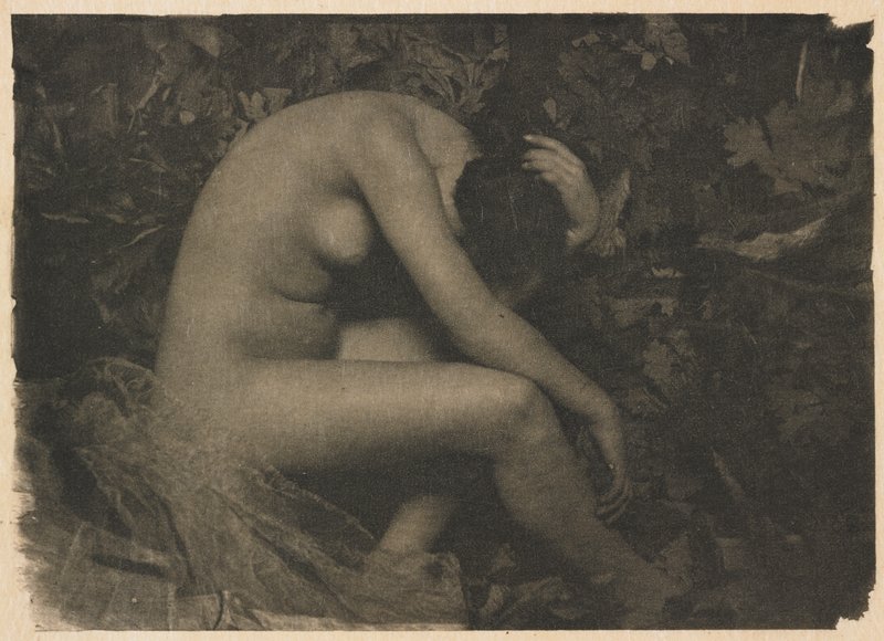 La Cigale, Frank Eugene, January 1904
