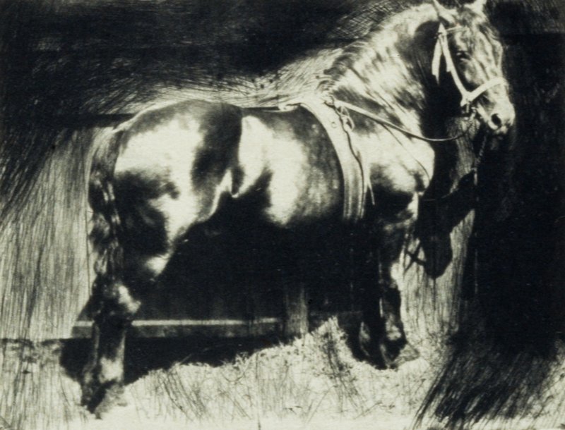 Horse, Frank Eugene, April 1910