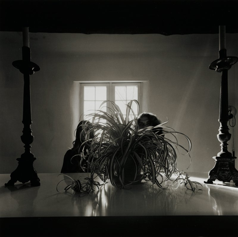 Friends, Light, and Plant, Helen Doroshow, 1974