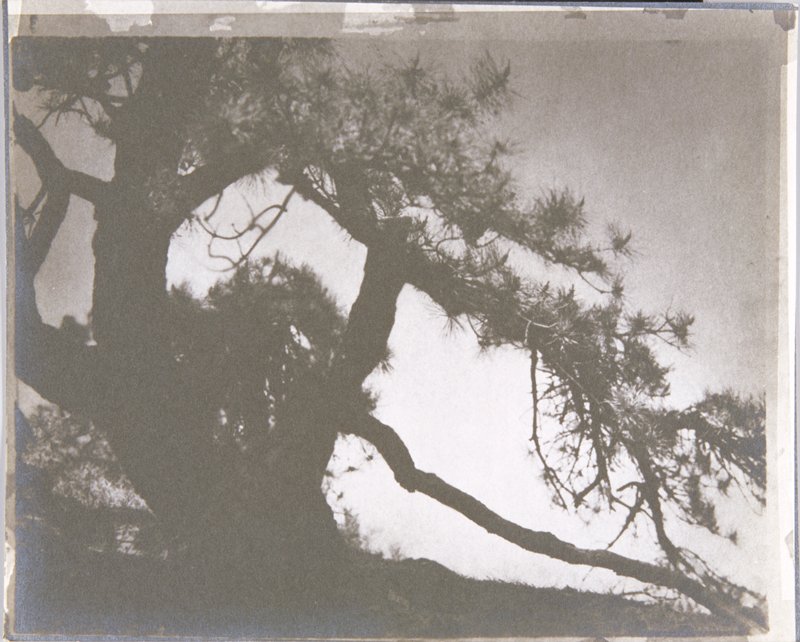 Untitled, Nell Dorr, 1908–86