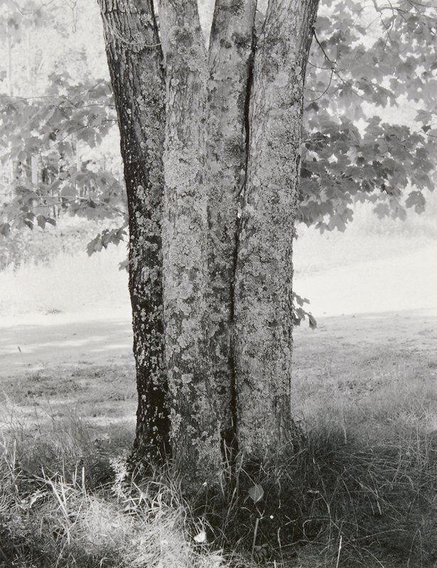 Untitled, Allen Downs, 20th century