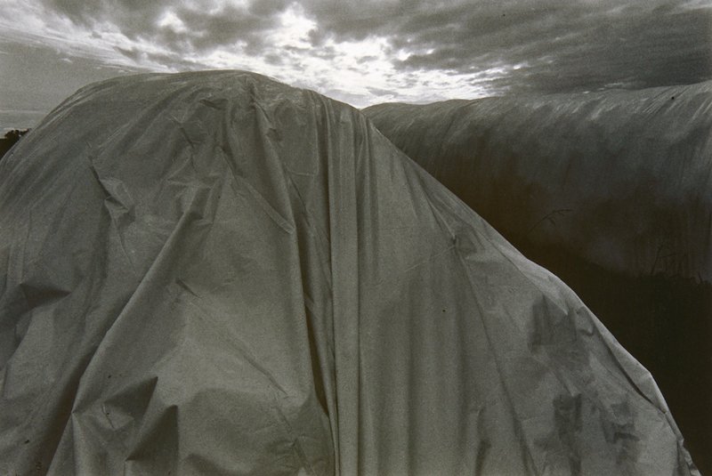Near Mountain Grove, Michael Dickey, 1977
