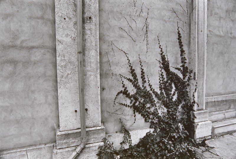 Kingston, Ontario, Michael Dickey, 1974