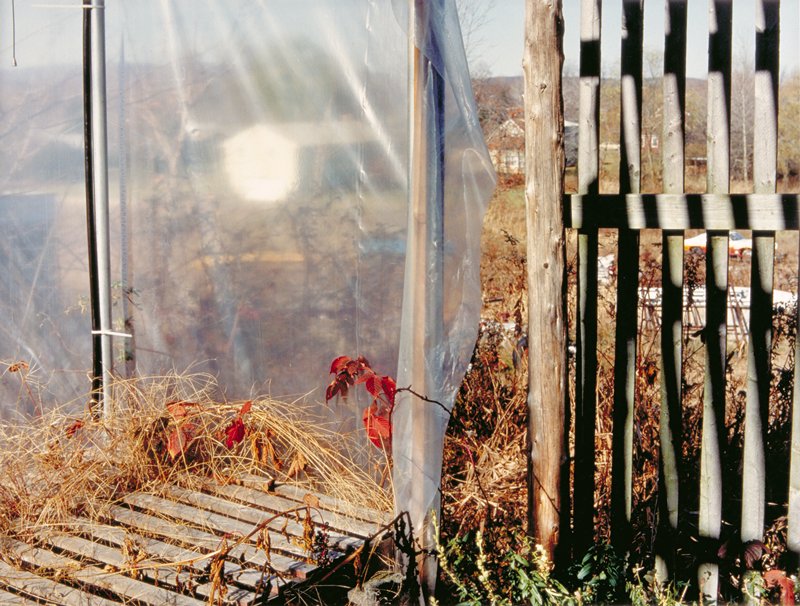 Farm, Connecticut, Dornith Doherty, 1987
