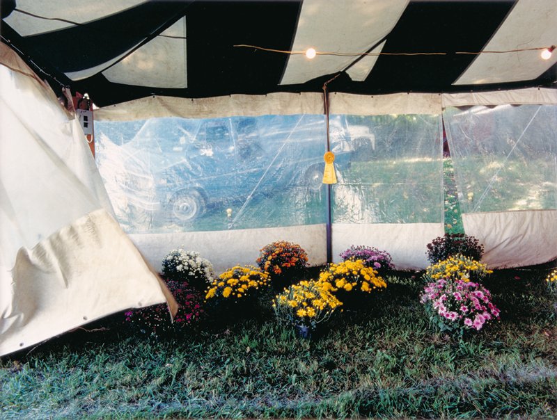 Garden Show, Dornith Doherty, 1987
