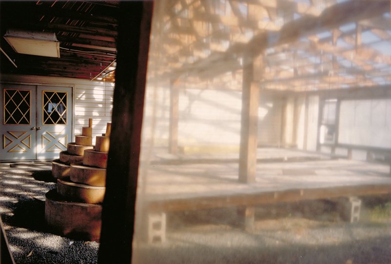 Greenhouse, Dornith Doherty, 1987
