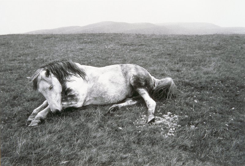 Untitled, Bruce Davidson, 1965