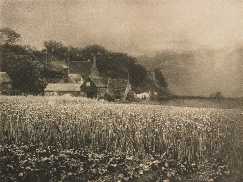 The Onion Field, George Davison, апрель 1907